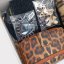 Leopardí box LEO