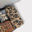 Leopardí box LEO